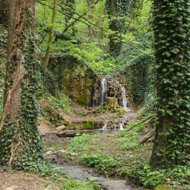 Haluzická tiesňava